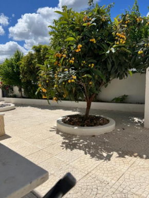 A casa dos Avós